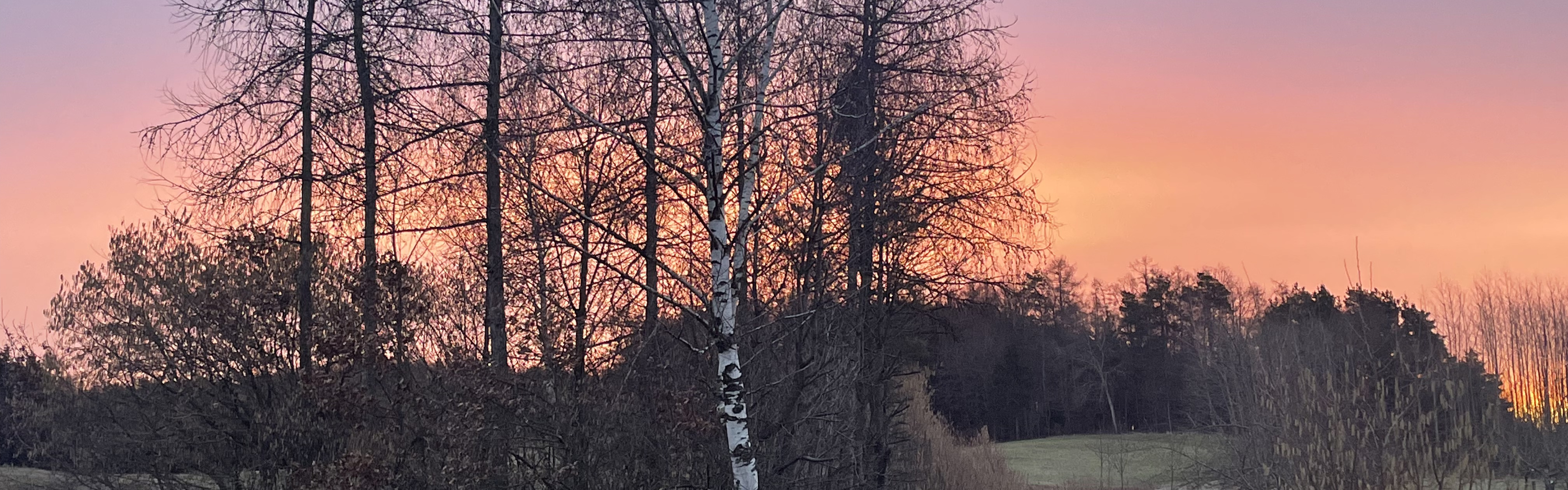 Slider Morgenrot im Gmoahölzl